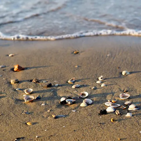 In 38317 Lejlighed Bibione