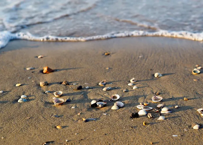 In 38317 Lejlighed Bibione